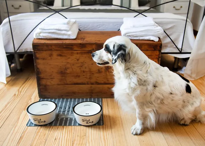 La Casetta Sulle Stelle Pensionat 4*